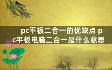 pc平板二合一的优缺点 pc平板电脑二合一是什么意思